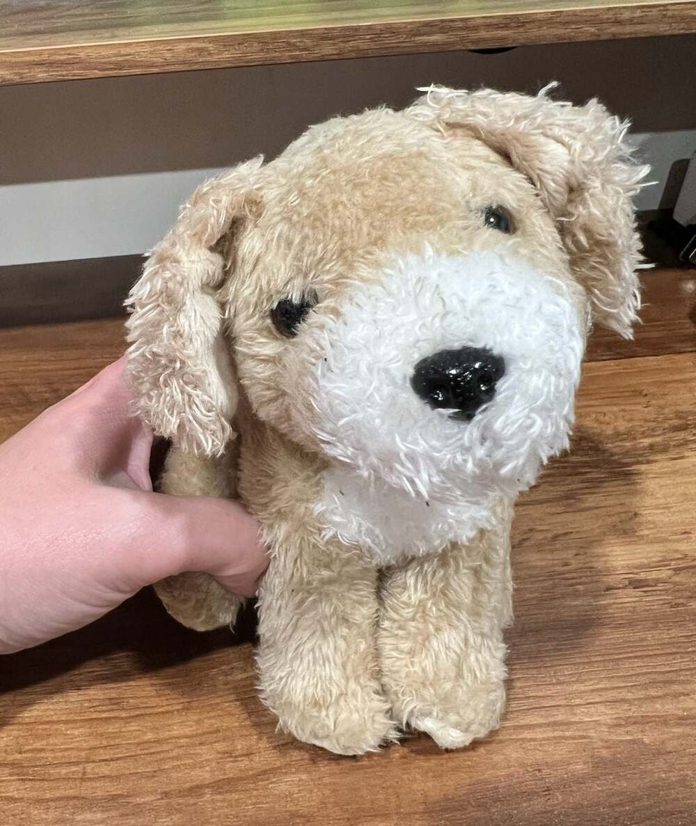 Our Generation Tan and White Puppy Dog Plush Toy By Battat